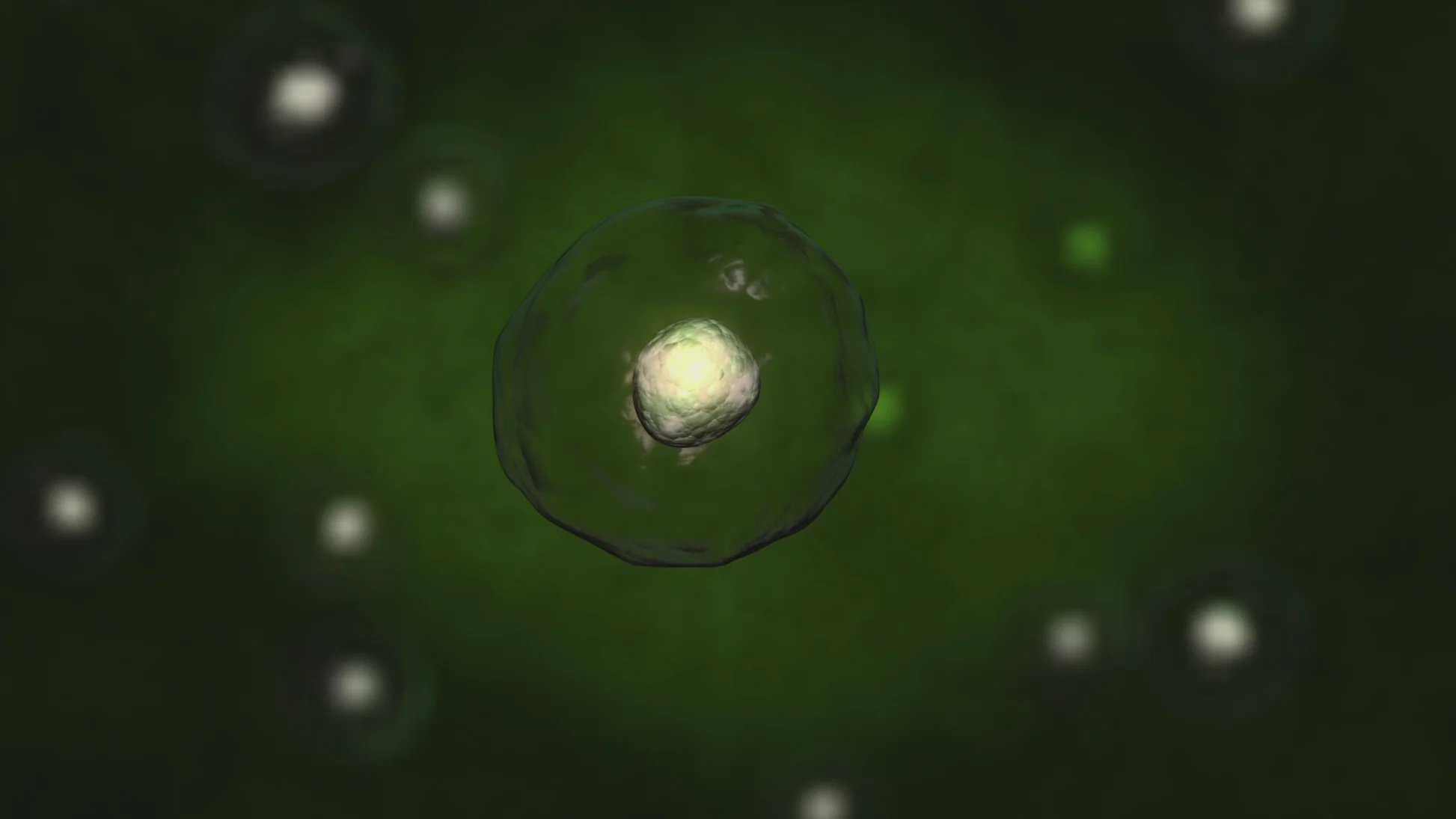 ProLon wissenschaftlich fundiert – Scheinfasten Ernährungsplan basiert auf Forschung